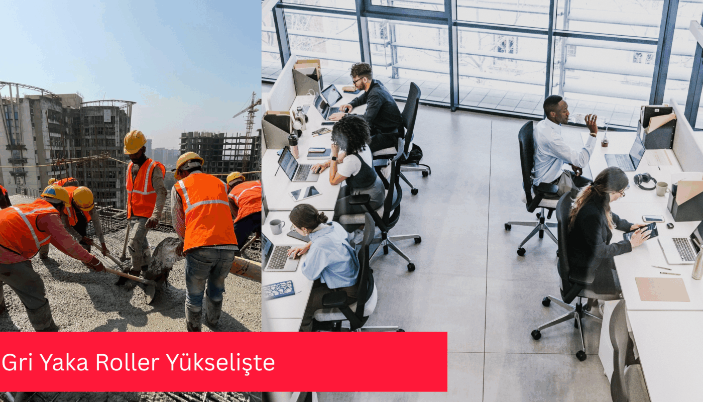 Gri Yaka Roller Yükselişte